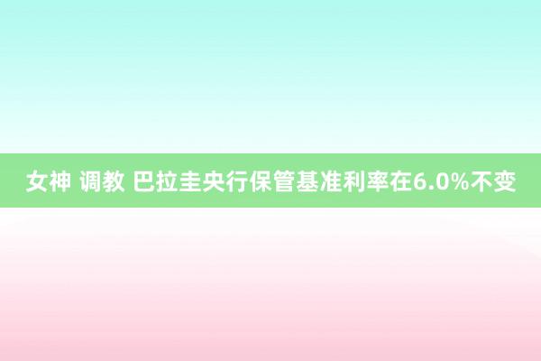 女神 调教 巴拉圭央行保管基准利率在6.0%不变