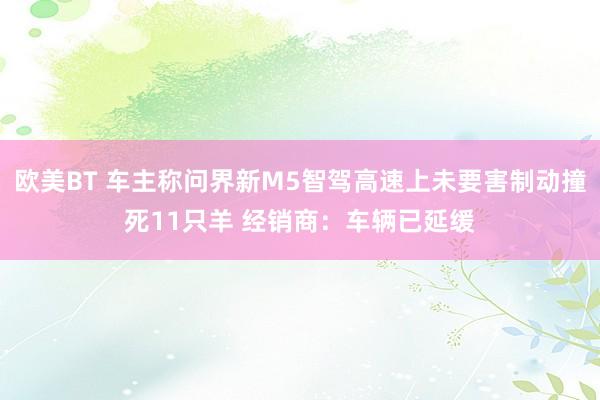 欧美BT 车主称问界新M5智驾高速上未要害制动撞死11只羊 经销商：车辆已延缓