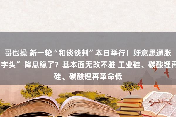 哥也操 新一轮“和谈谈判”本日举行！好意思通胀重回“2字头” 降息稳了？基本面无改不雅 工业硅、碳酸锂再革命低