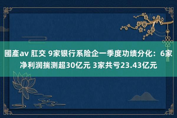 國產av 肛交 9家银行系险企一季度功绩分化：6家净利润揣测超30亿元 3家共亏23.43亿元