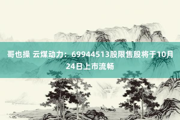 哥也操 云煤动力：69944513股限售股将于10月24日上市流畅