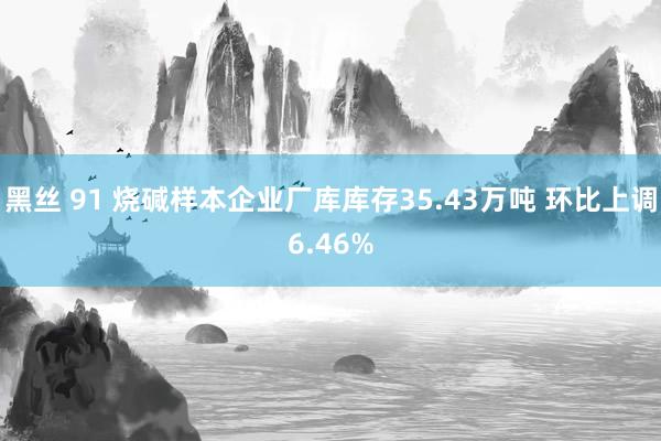 黑丝 91 烧碱样本企业厂库库存35.43万吨 环比上调6.46%