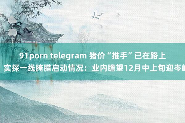91porn telegram 猪价“推手”已在路上？实探一线腌腊启动情况：业内瞻望12月中上旬迎岑岭
