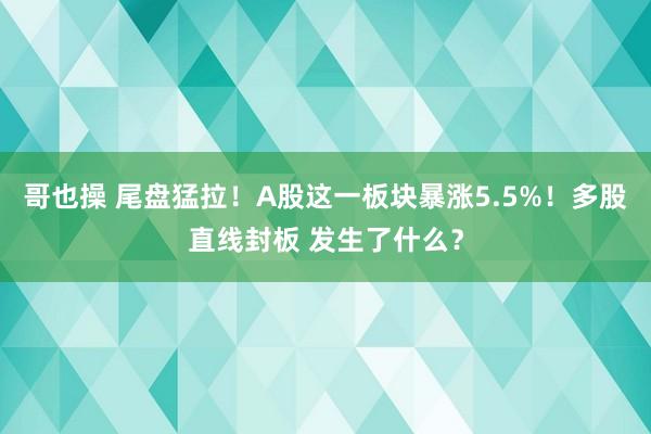哥也操 尾盘猛拉！A股这一板块暴涨5.5%！多股直线封板 发生了什么？