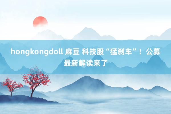 hongkongdoll 麻豆 科技股“猛刹车”！公募最新解读来了