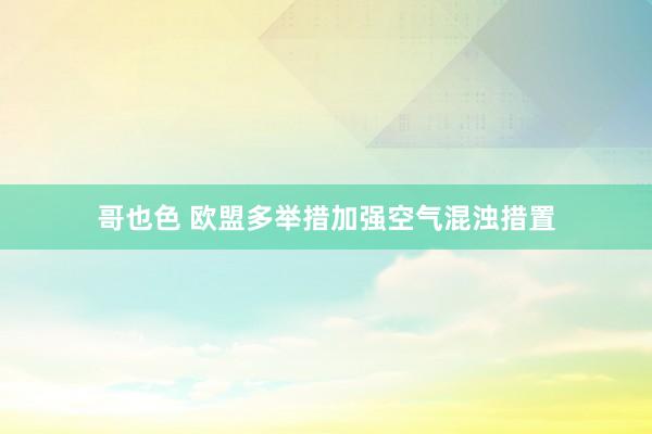 哥也色 欧盟多举措加强空气混浊措置