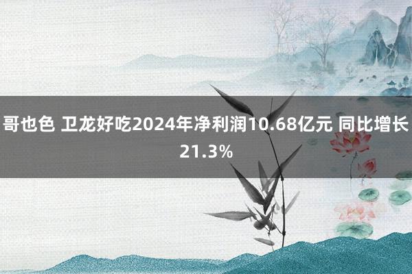 哥也色 卫龙好吃2024年净利润10.68亿元 同比增长21.3%